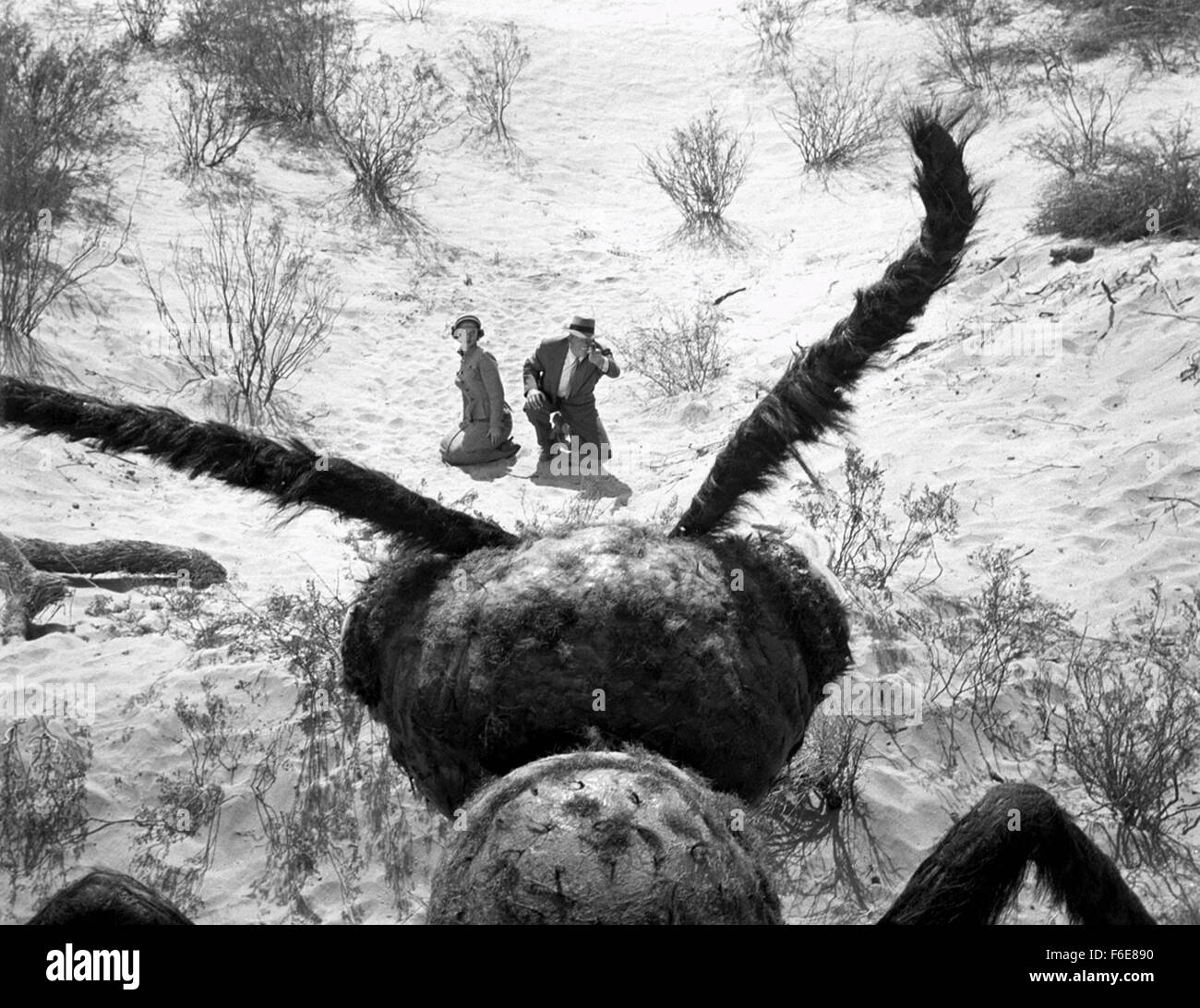 RELEASE DATE June 1954. MOVIE TITLE Them. STUDIO Warner Bros