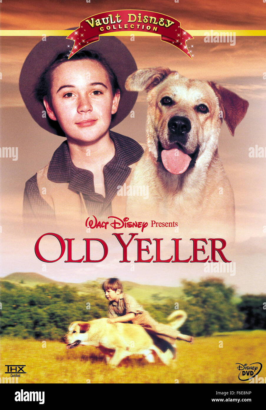 Old yeller hi-res stock photography and images - Alamy