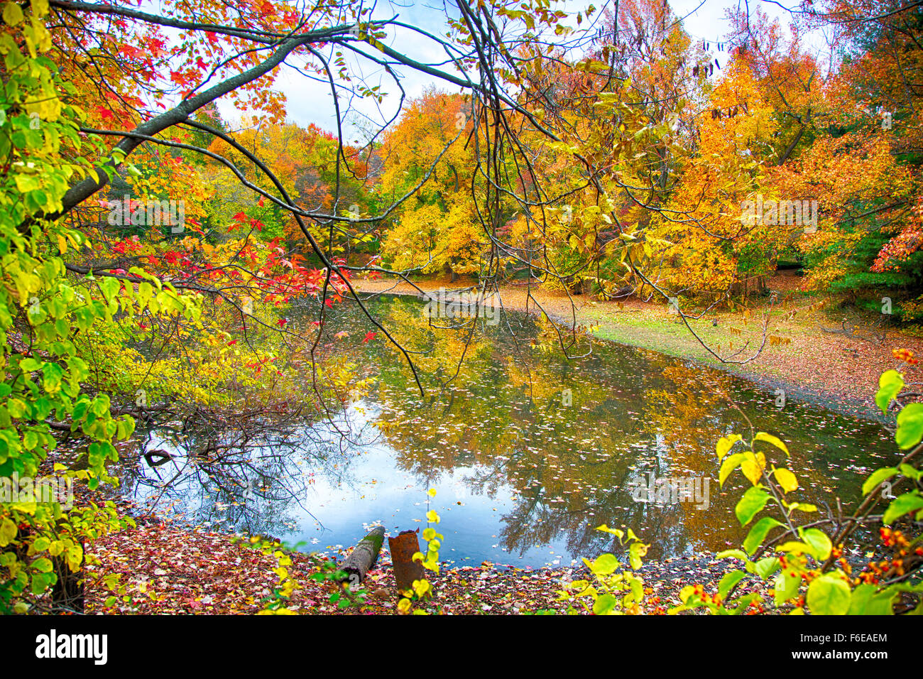 The changing leaves bring splashes of color to the parks and streams in Medford, NJ. Stock Photo