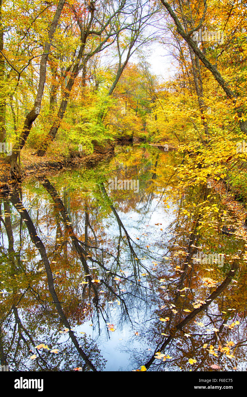 The changing leaves bring splashes of color to the parks and streams in Medford, NJ. Stock Photo