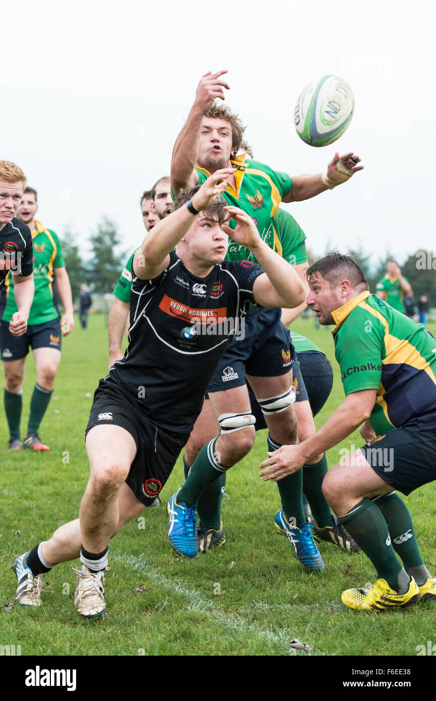 rugby players challenging for ball in short line out Stock Photo