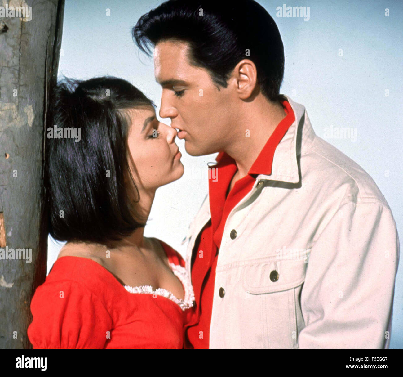 Pamela austin hi-res stock photography and images - Alamy