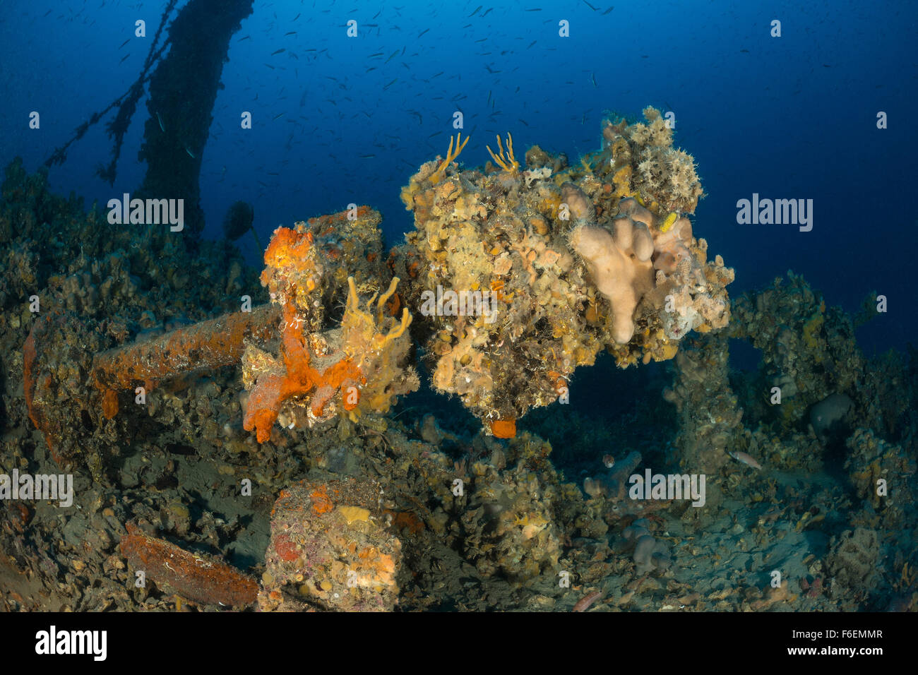 Wreck SS Albanien in 75 m depth, Pag, Croatia Stock Photo
