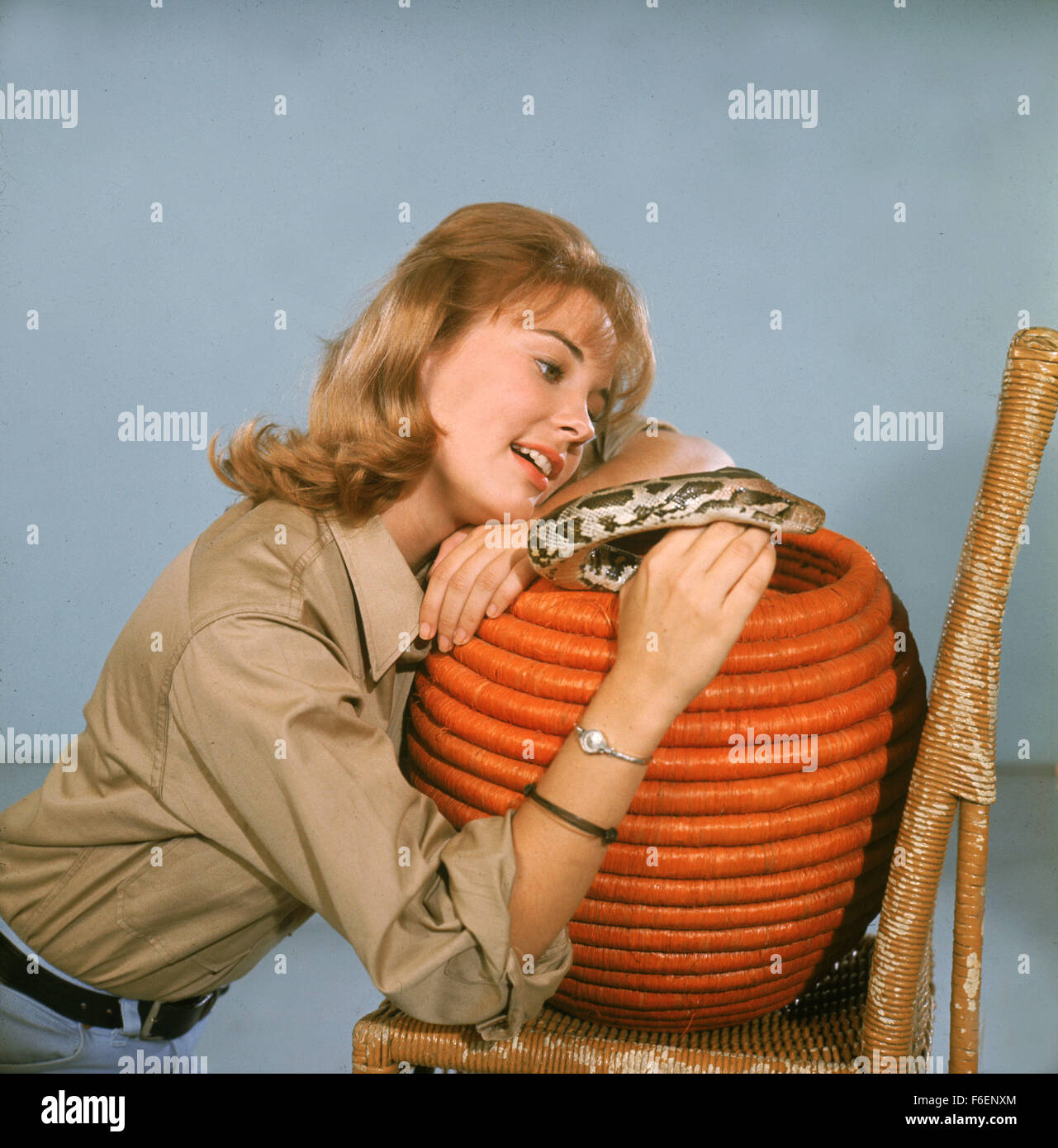 Clarence the lion hires stock photography and images Alamy