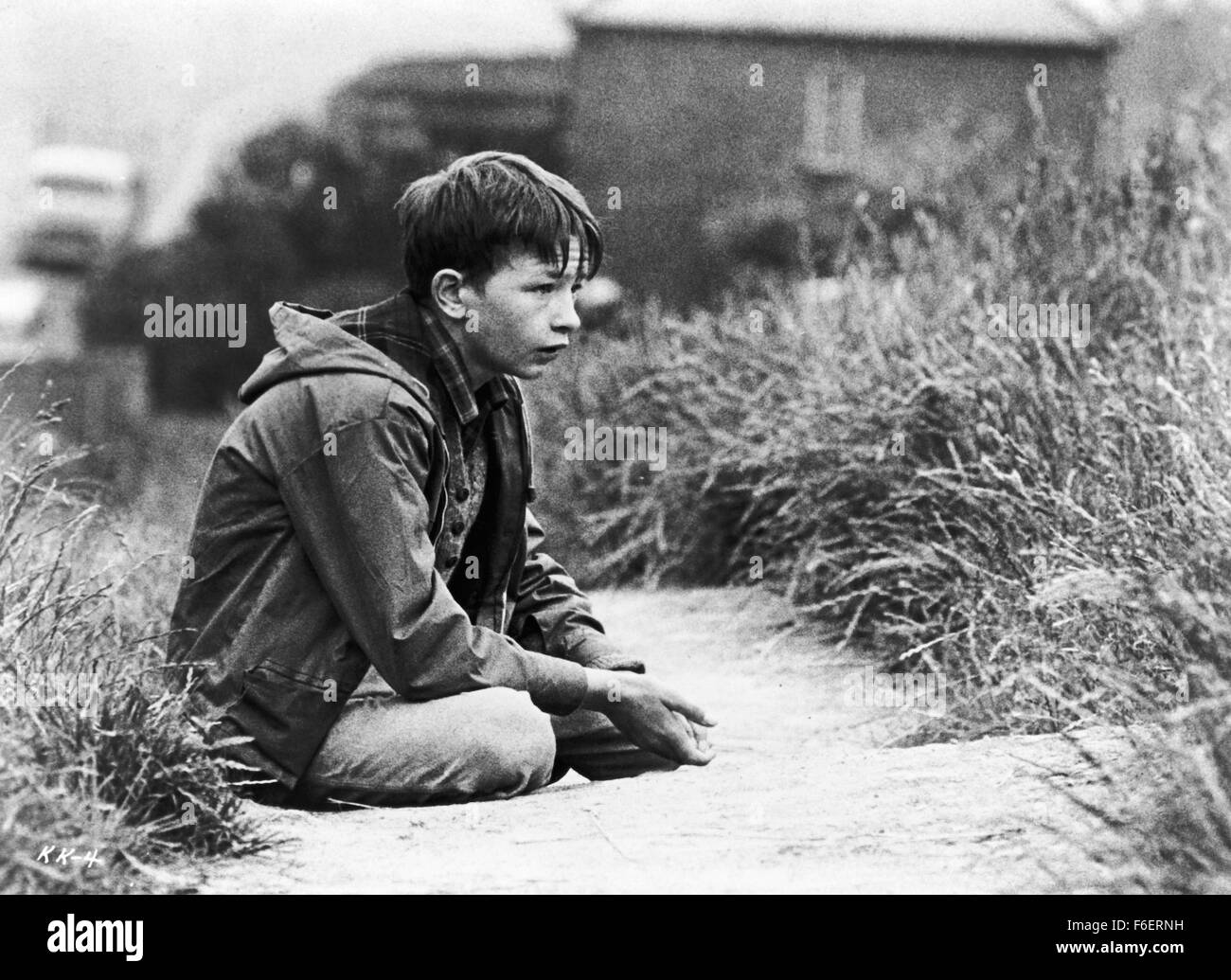 RELEASE DATE: June 19th, 1970. MOVIE TITLE: Kes. STUDIO: MGM. PLOT: Bullied at school and ignored and abused at home by his indifferent mother and older brother, Billy Casper, a 15-year-old working-class Yorkshire boy, tames and trains his pet kestrel falcon whom he names Kes. Helped and encouraged by his English teacher Mr. Farthing and his fellow students, Billy finally finds a positive purpose to his unhappy existence, until tragedy strikes. PICTURED: DAVID BRADLEY as Billy. Stock Photo