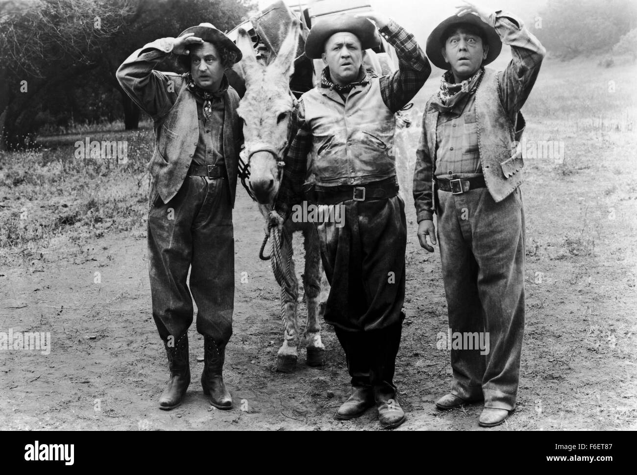 Aug 05, 1970; Hollywood, CA, USA; LARRY FINE, CURLY HOWARD and MOE HOWARD of 'The Three Stooges.' Stock Photo