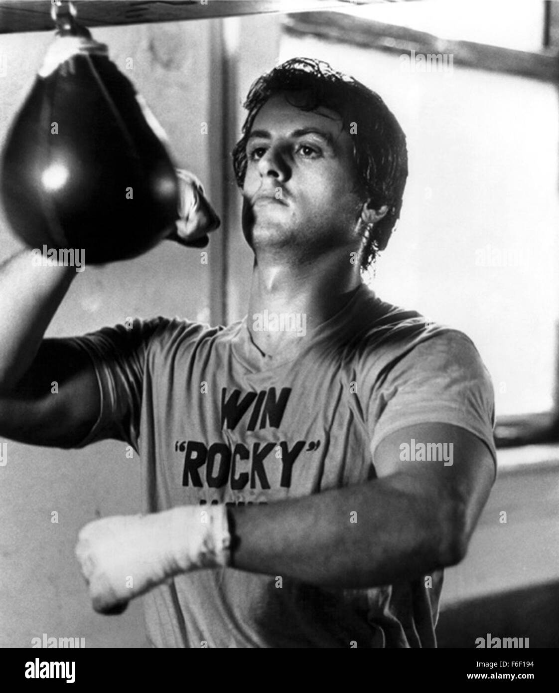 Film Title:  ROCKY.  DIRECTOR John G. Avildsen.  STUDIO:  United Artists.  PLOT:  The action-packed, crowd-pleasing story, shot mostly on location, tells of the rise of a small-time, underdog Philadelphia boxer, Rocky Balboa (Sylvester Stallone) against insurmountable odds in a big-time bout with Apollo Creed (Carl Weathers), with the emotional support of a shy,  loving girlfriend named Adrian (Talia Shire), and wily fight manager Mickey (Burgess Meredith). PICTURED:  SYLVESTER STALLONE. Stock Photo
