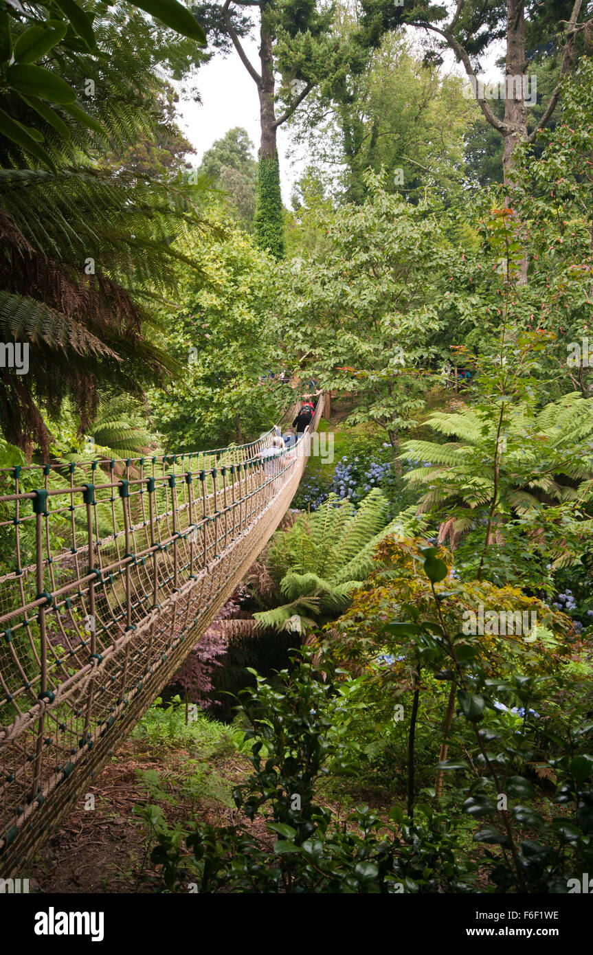 Tourists Crossing The Burmese Rope Bridge In The Tropical Jungle Garden