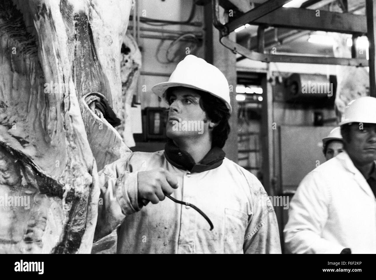 Jun 15, 1979; Philadelphia, PA, USA; SYLVESTER STALLONE as Rocky Balboa in the action, sport, drama 'Rocky II' directed by Sylvester Stallone. Stock Photo