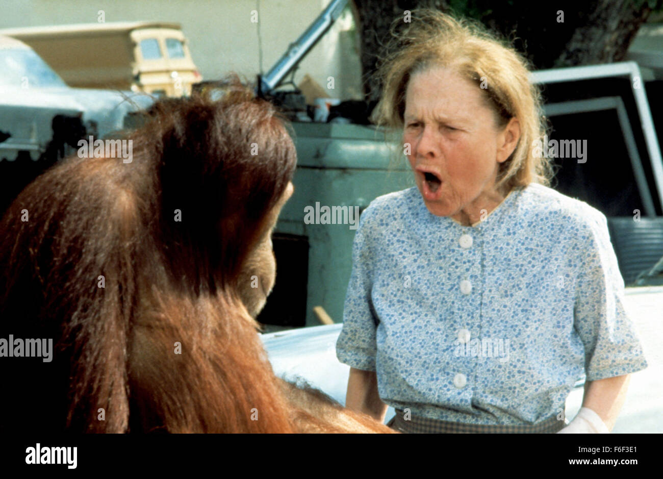 Dec 20, 1978; Hollywood, CA, USA; RUTH GORDON as Ma Boggs and Clyde the Orangutan in the comedy ''Every Which Way But Loose'' directed by James Fargo. Stock Photo