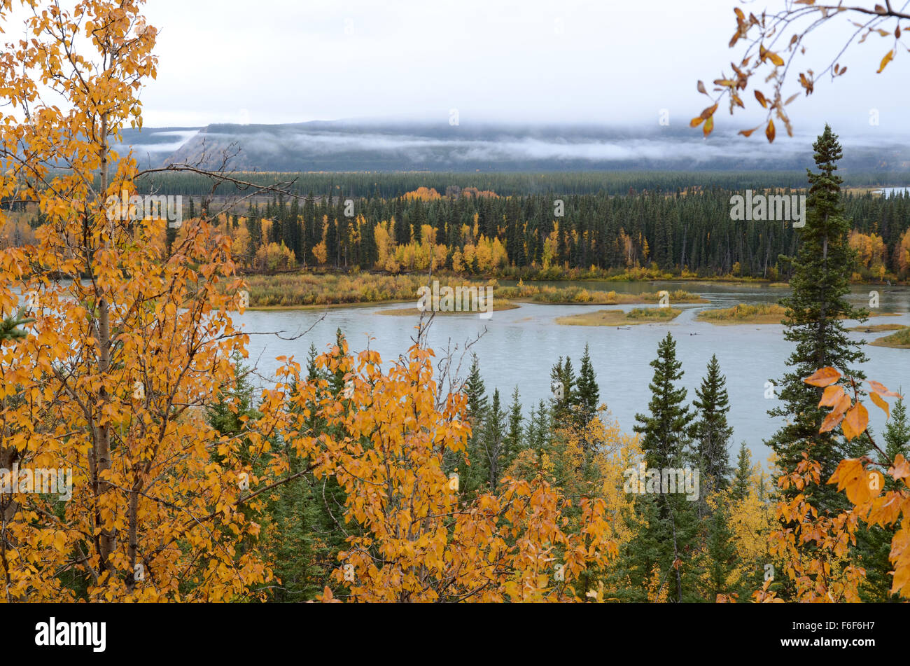 The Yukon River near Carmacks, Yukon Stock Photo Alamy