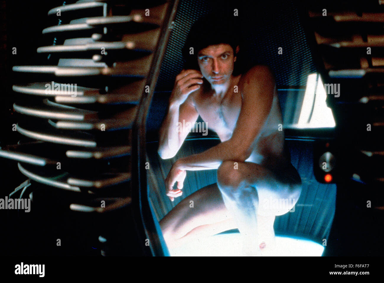Aug 15, 1986; Los Angeles, CA, USA; Actor JEFF GOLDBLUM stars as Seth Brundle/The Fly in the Brooks Films sci-fi horror flick, 'The Fly.' Stock Photo