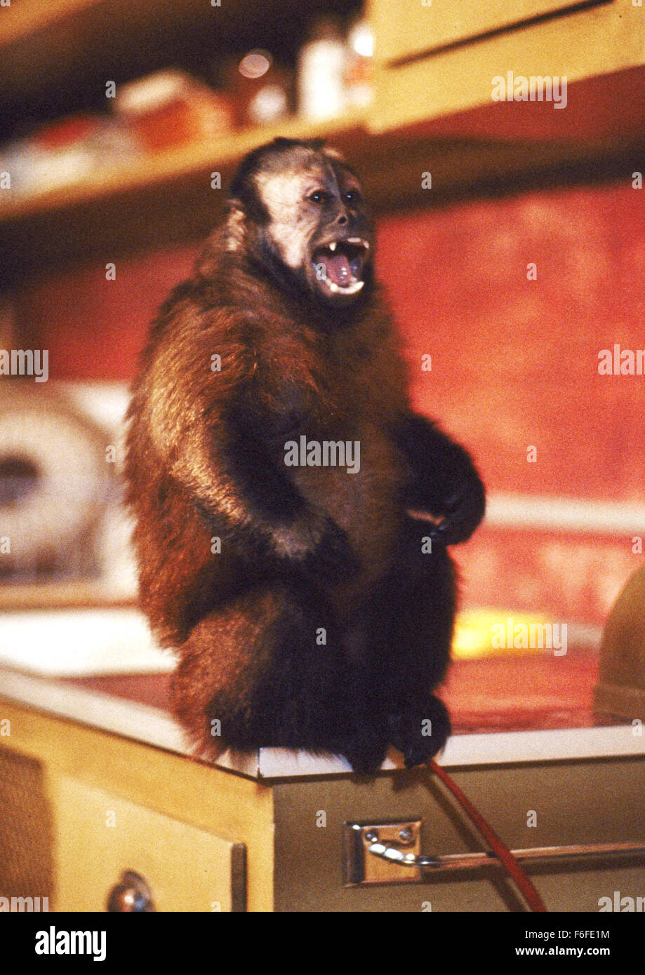 Jul 29, 1988; Pittsburgh, PA, USA; Scene from the George A. Romero directed thriller, 'Monkey Shines.' Stock Photo