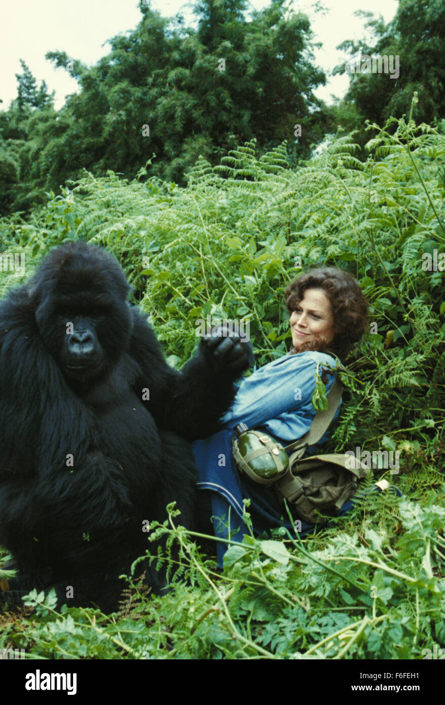 RELEASE DATE: Sep 23, 1988. MOVIE TITLE: Gorillas in the Mist: The 