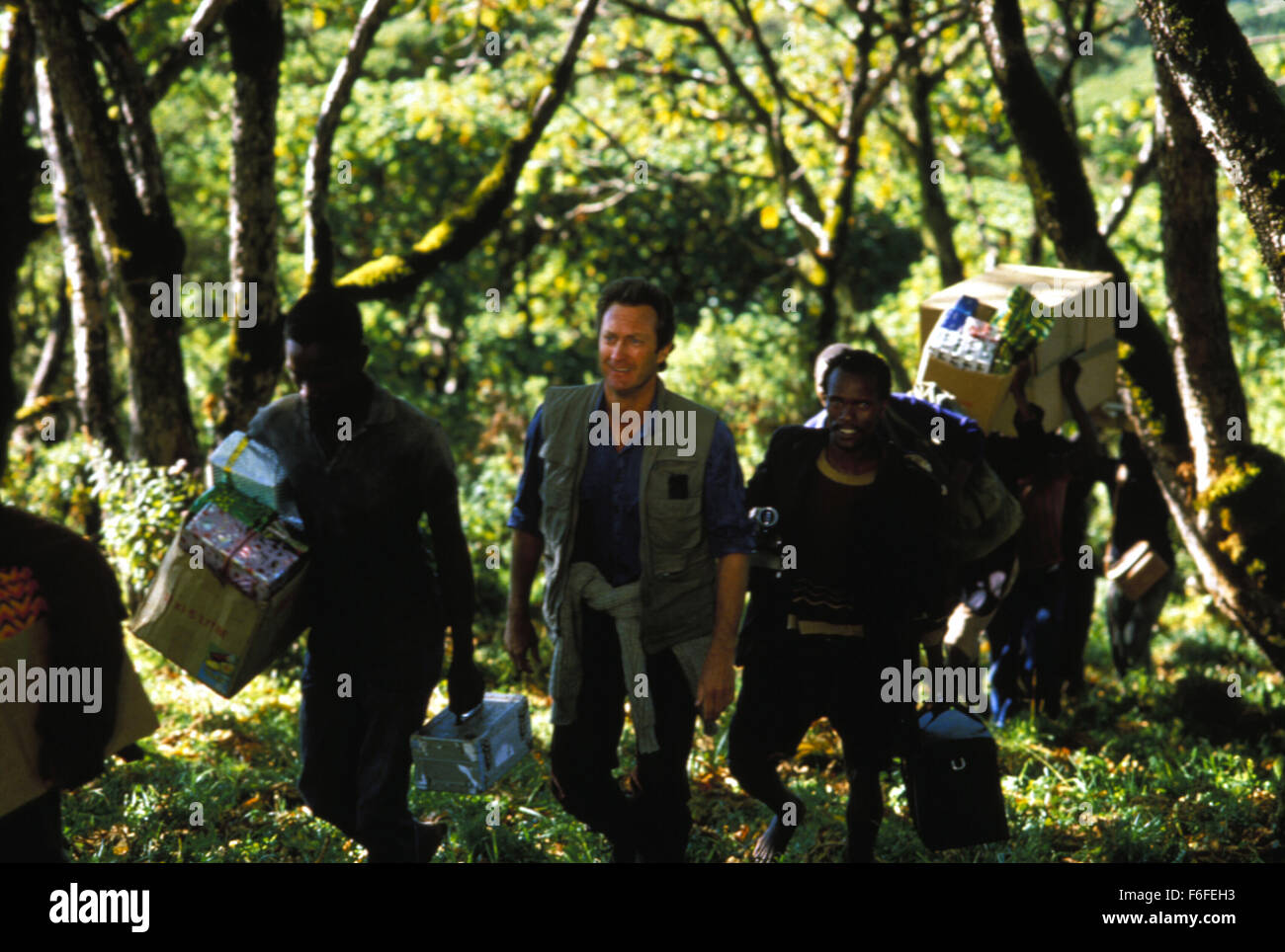 Gorillas in the mist 1988 film hires stock photography and images Alamy