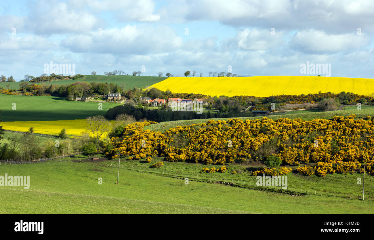 Bathgate hills hires stock photography and images Alamy