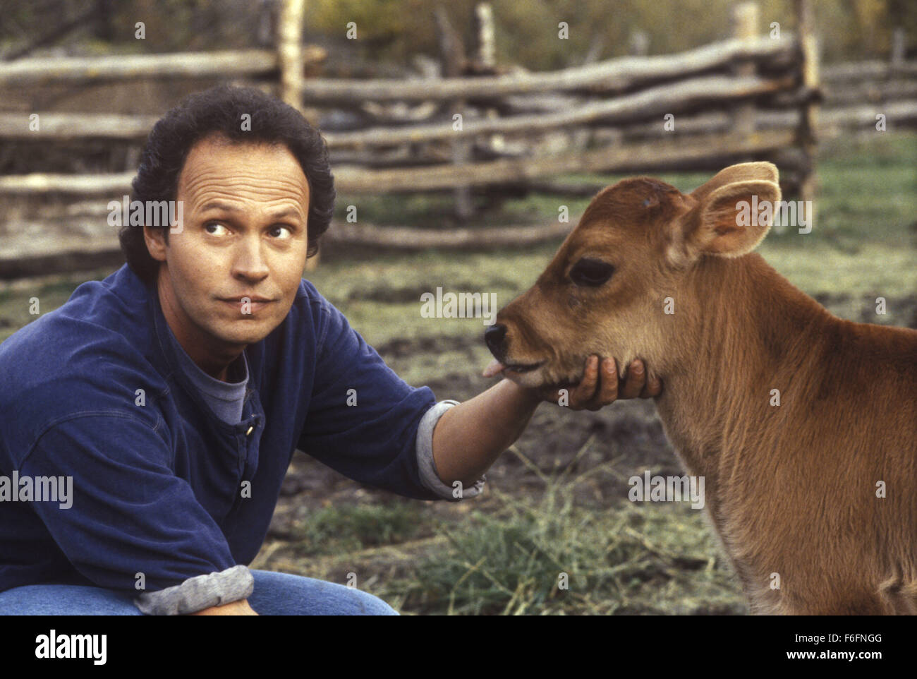 City slickers online