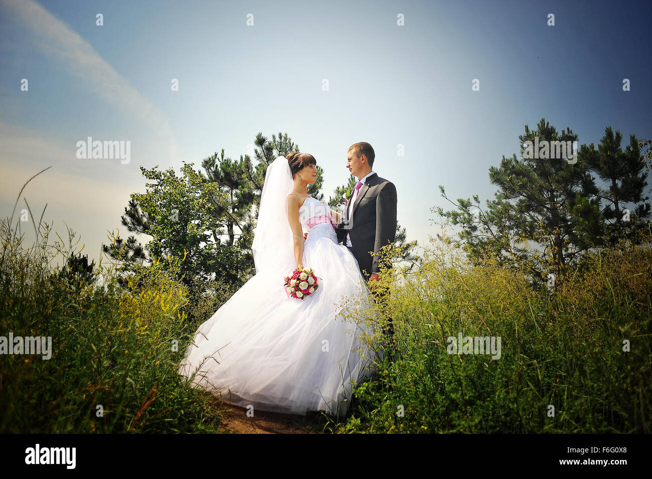 wedding couple in love at their happy day Stock Photo - Alamy