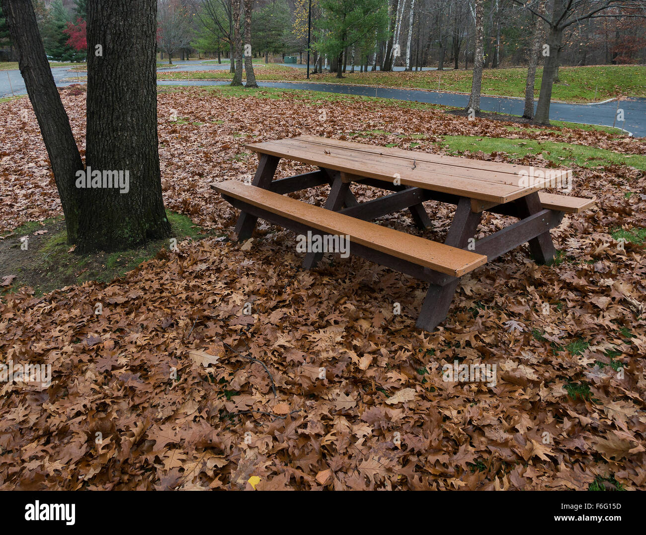 empty picnic table with fallen autumn leaves Stock Photo