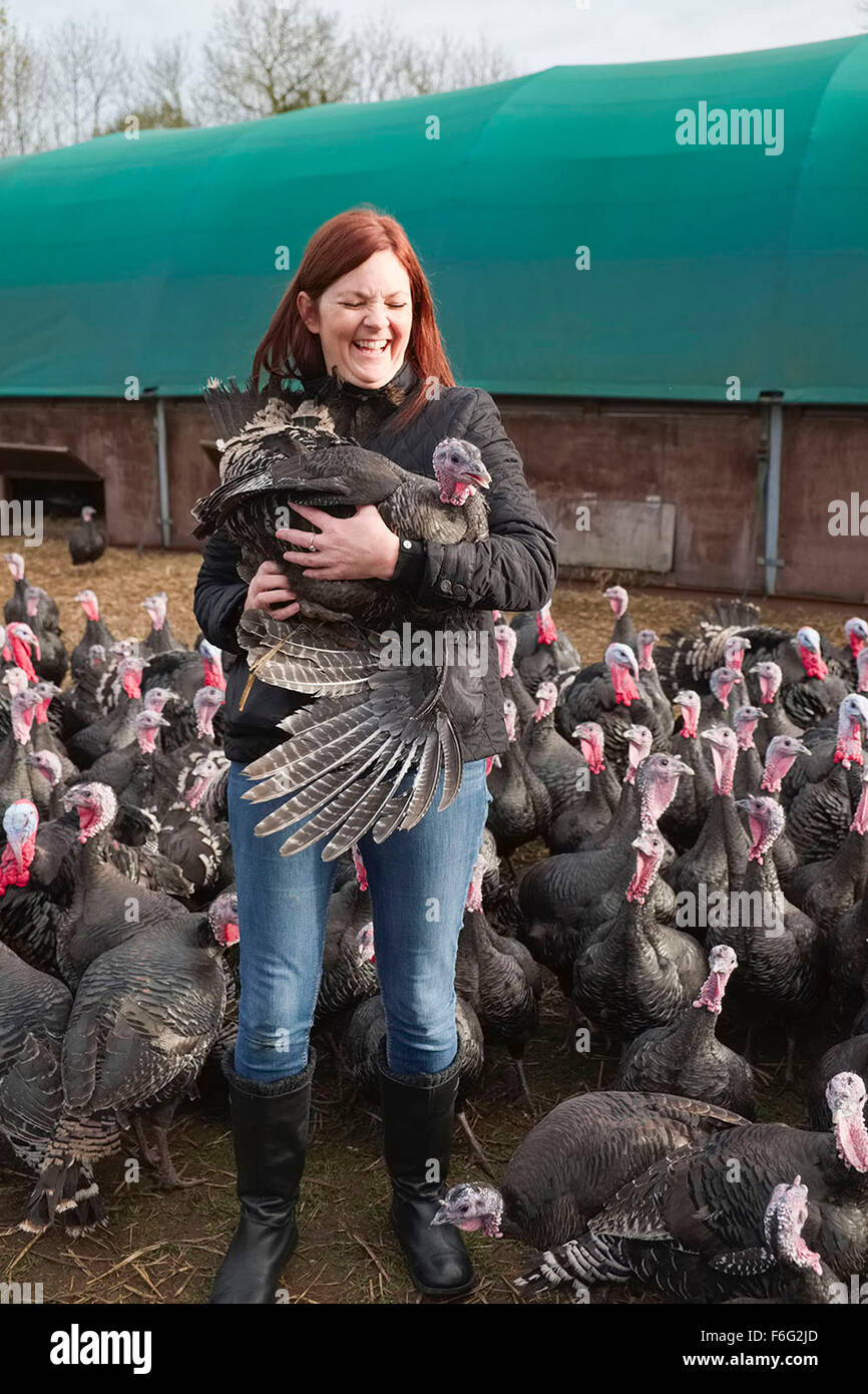 Woman Holding a Norfolk Bronze Turkey at Turkey Farm Stock Photo Alamy