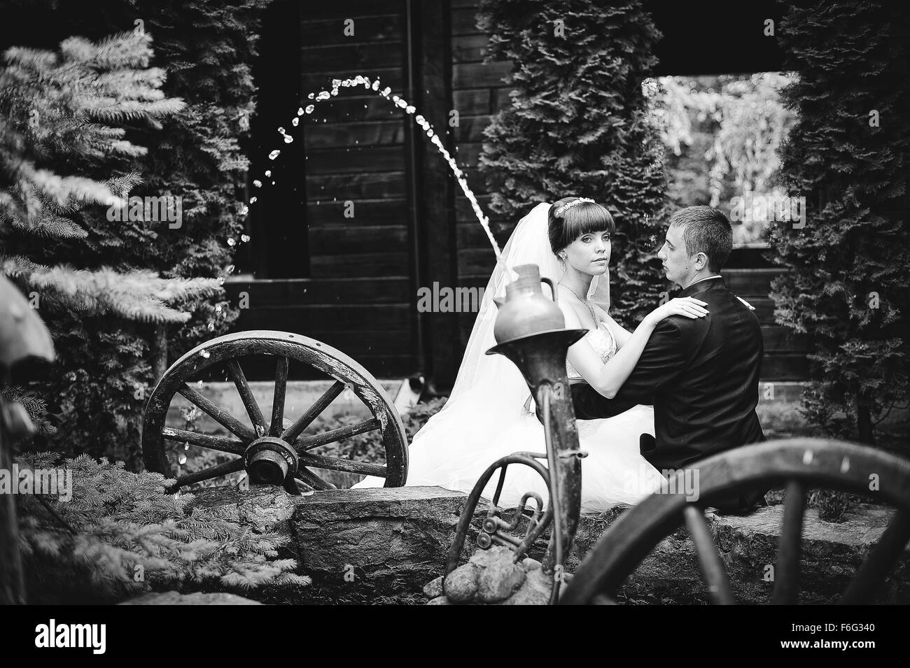 wedding couple in love at their happy day Stock Photo - Alamy