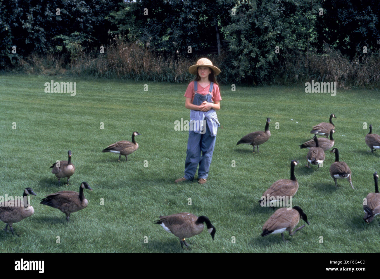 RELEASE DATE September 13, 1996. MOVIE TITLE Fly Away Home. STUDIO Columbia Pictures
