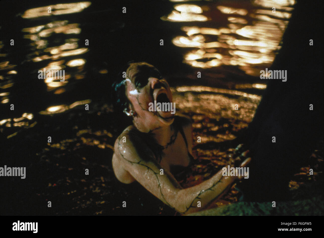 Chloë Grace Moretz | thedullwoodexperiment, image size:1300x956