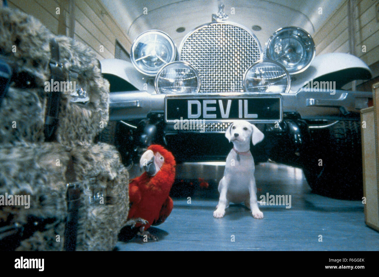 102 dalmatians hi-res stock photography and images - Alamy