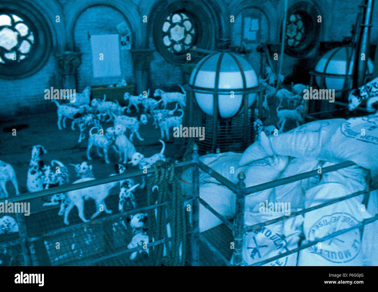 102 dalmatians hi-res stock photography and images - Alamy