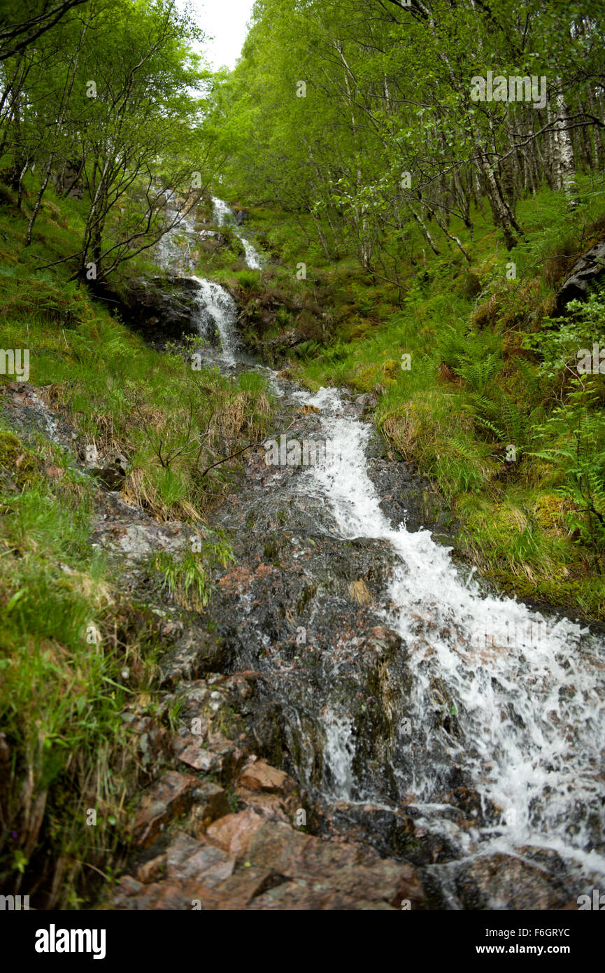 One of the many burns that flow down from the nevis range and into the Glen Nevis gorge Stock Photo
