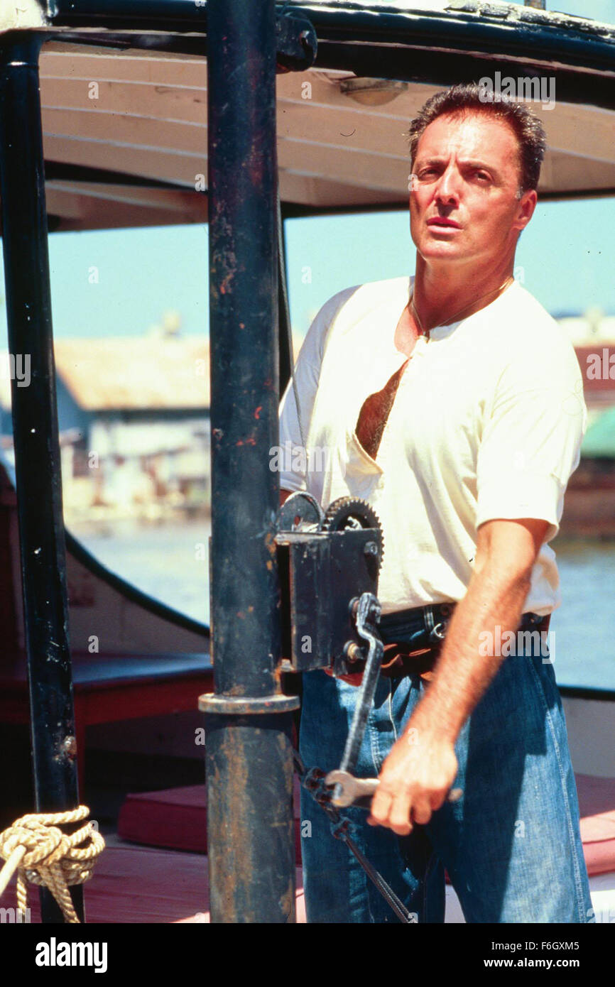 Jan 02, 2001; Ambergris Caye, BELIZE; Actor ARMAND ASSANTE as Jean-Pierre in 'After the Storm.' Stock Photo