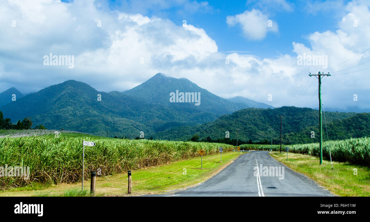 Road in sugar cane fields leading towards  Daintree rain forest national park mountains covered by menacing clouds. - Stock Image