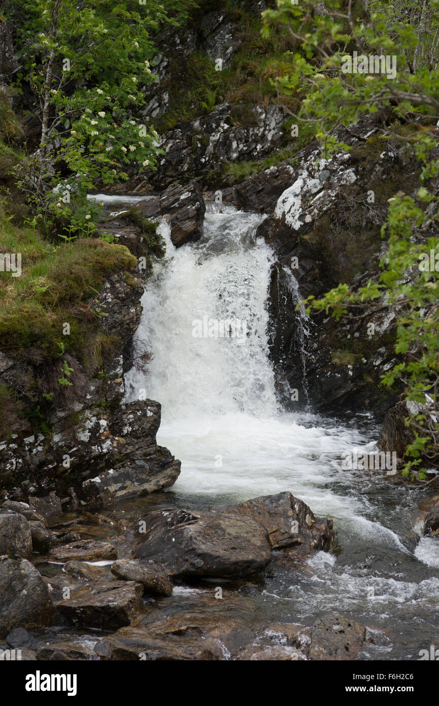 Allt Coire Giubhsachan tumbles over rocks from the Nevis Range and eventually into the Water of Nevis in Glen Nevis Stock Photo