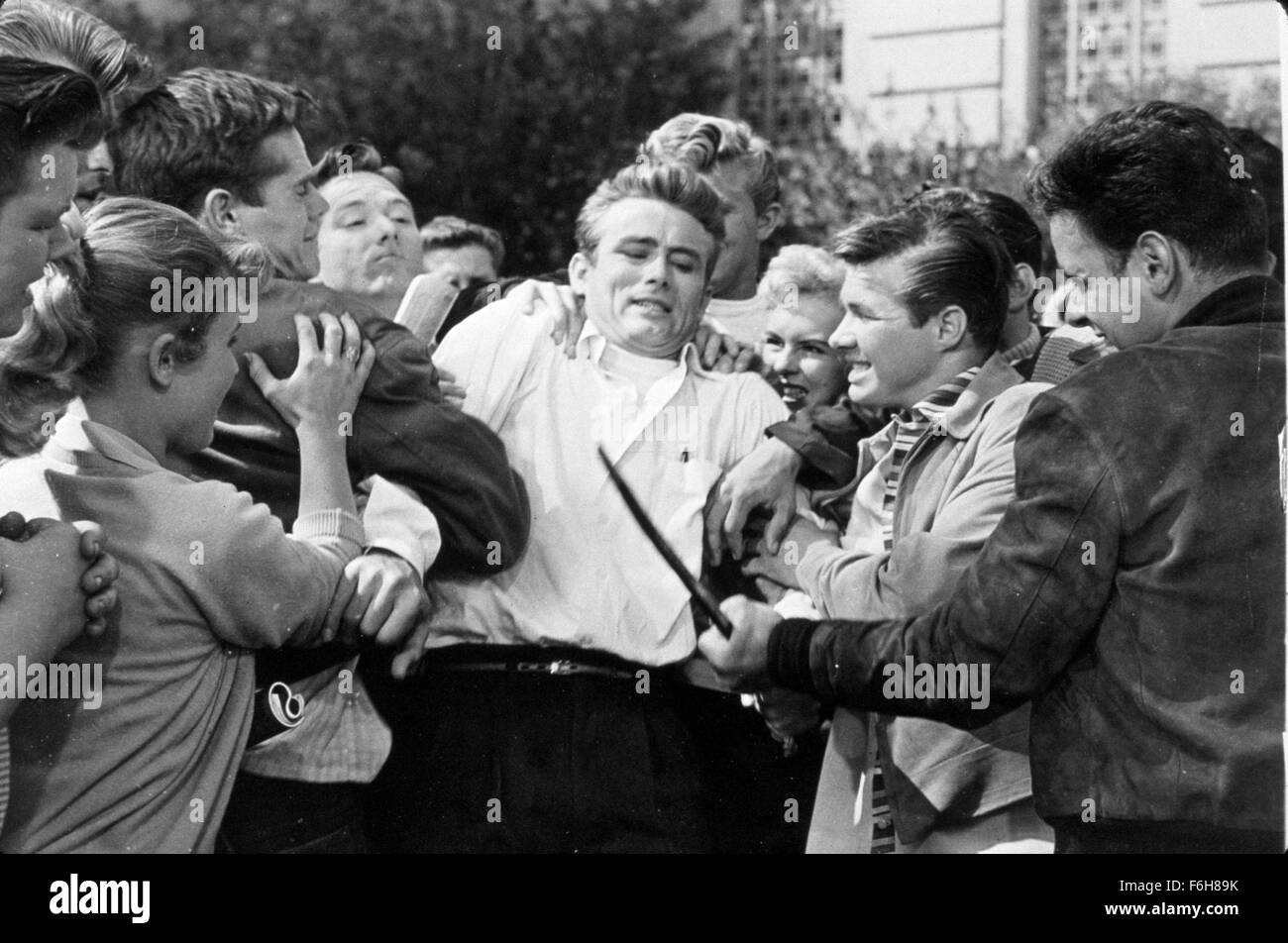 1955, Film Title: REBEL WITHOUT A CAUSE, Director: NICHOLAS RAY, Studio: WARNER, Pictured: CROWD, JAMES DEAN, FIGHTING. (Credit Image: SNAP) Stock Photo