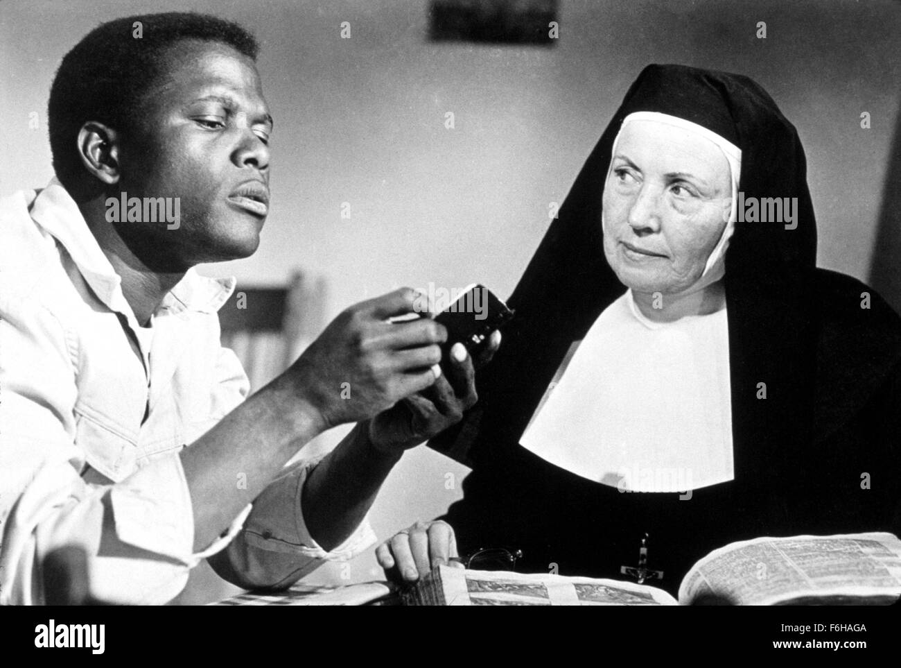 Lilies of the field sidney hires stock photography and images Alamy