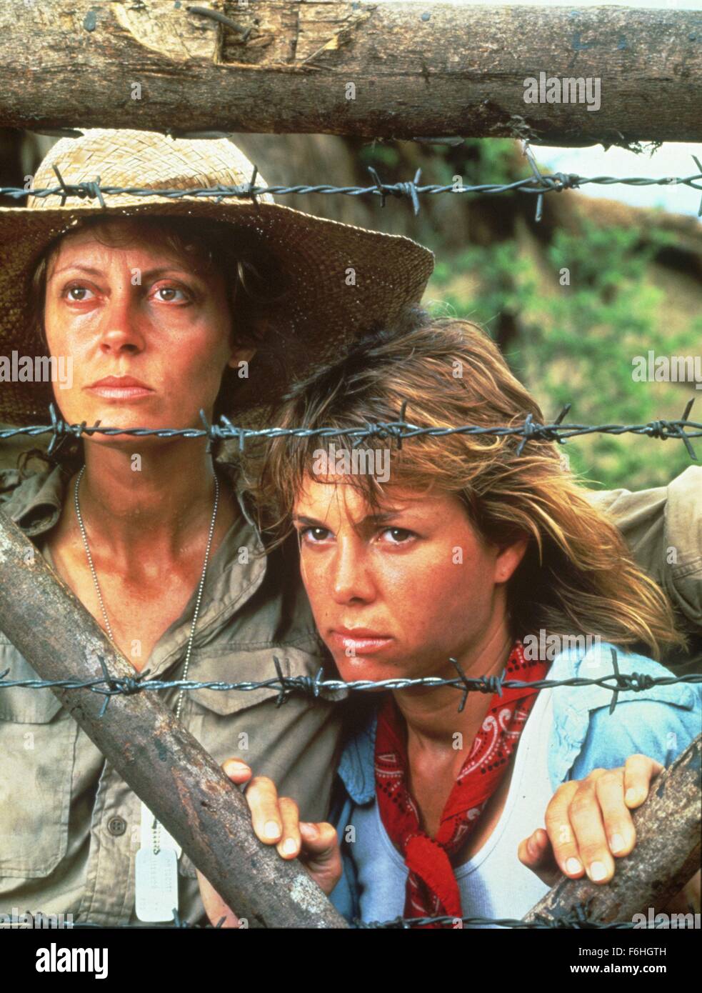 Buzz kulik hi-res stock photography and images - Alamy