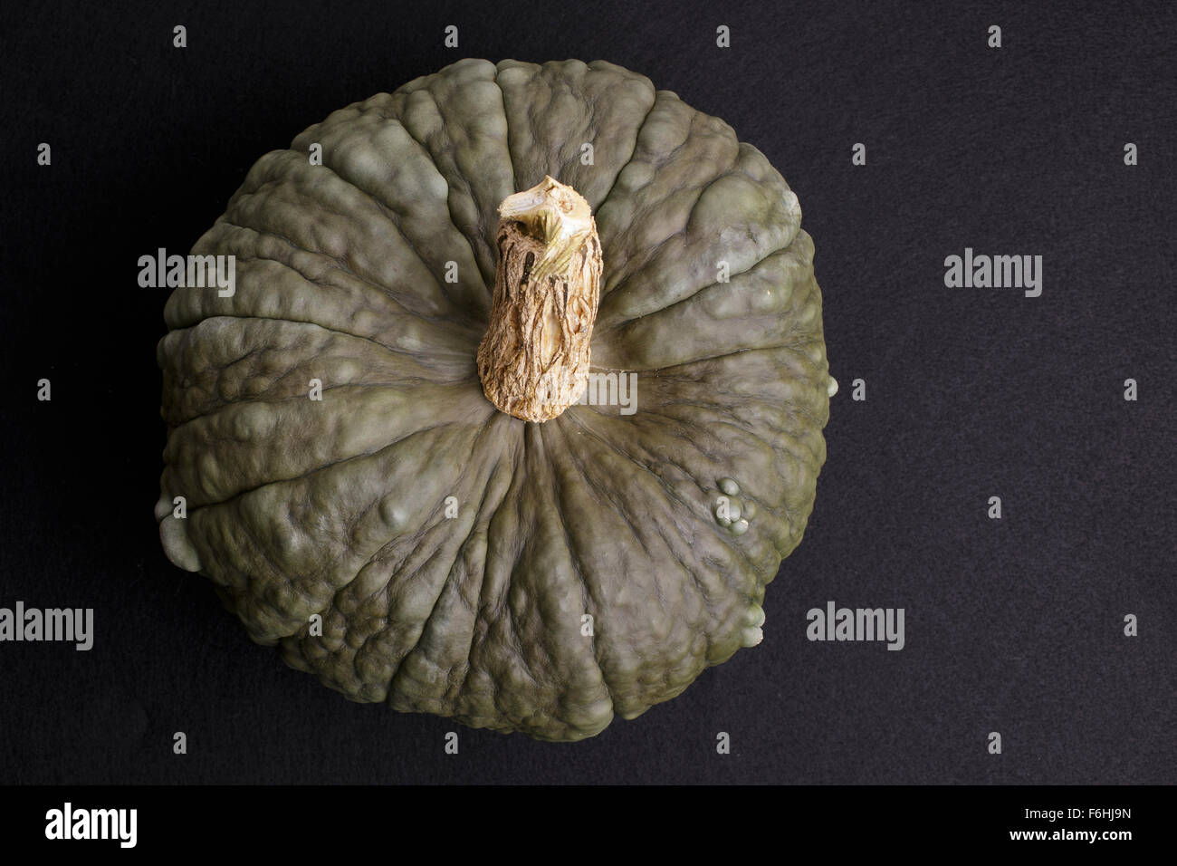 Bumpy squash hires stock photography and images Alamy