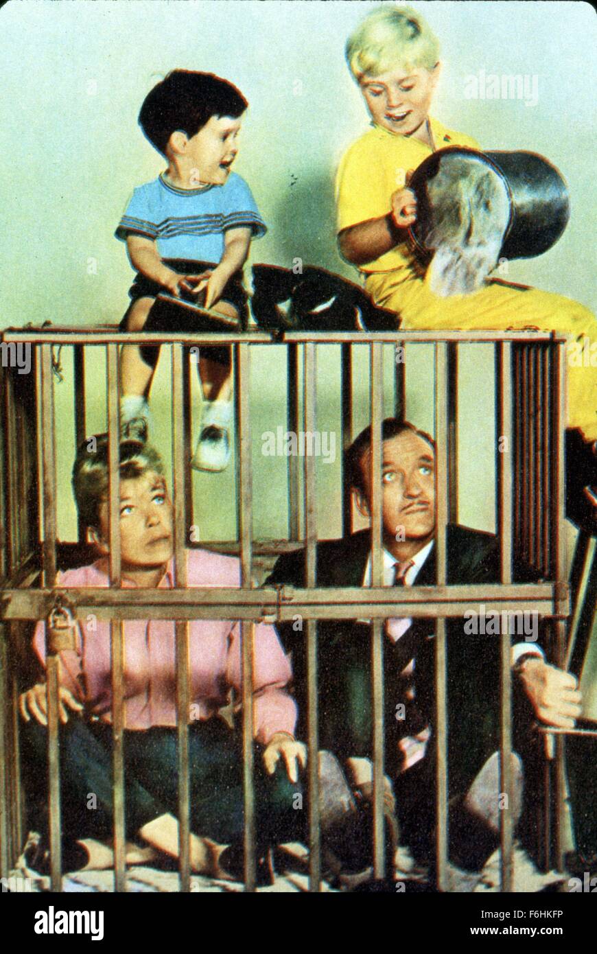 Please dont eat the daisies doris day hires stock photography and