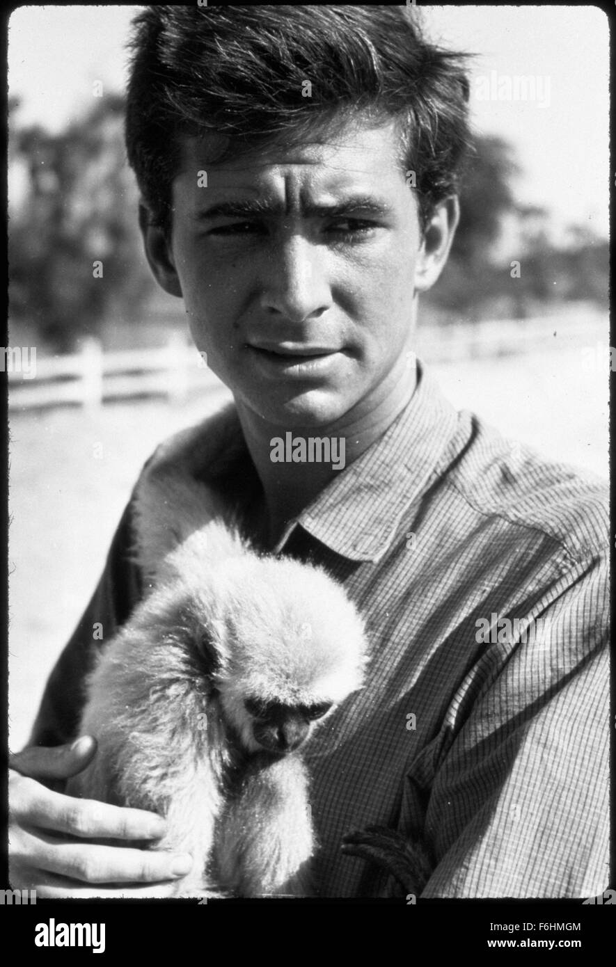 1958, Film Title THIS ANGRY AGE, Director RENE CLEMENT, Pictured