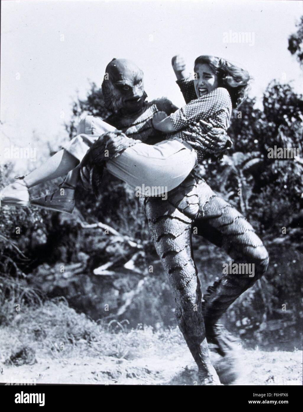 1954 Film Title Creature From The Black Lagoon Director Jack Arnold Studio Universal Pictured Julia Adams Richard Carlson Its Aliens Things Running Capture Captive Fear Terror Victim Women In Danger Scales 1954 Film Title Creature From The Black Lagoon Director Jack Arnold Studio Universal Pictured Julia Adams Richard Carlson Its Aliens Things Running Capture Captive Fear Terror Victim Women In Danger Scales