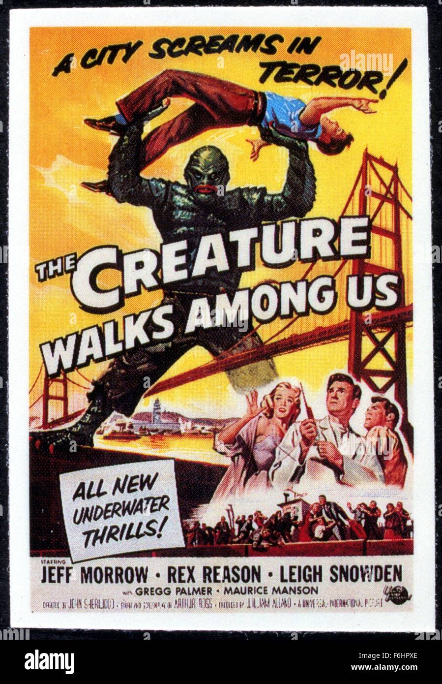 Creature walks among us hi-res stock photography and images