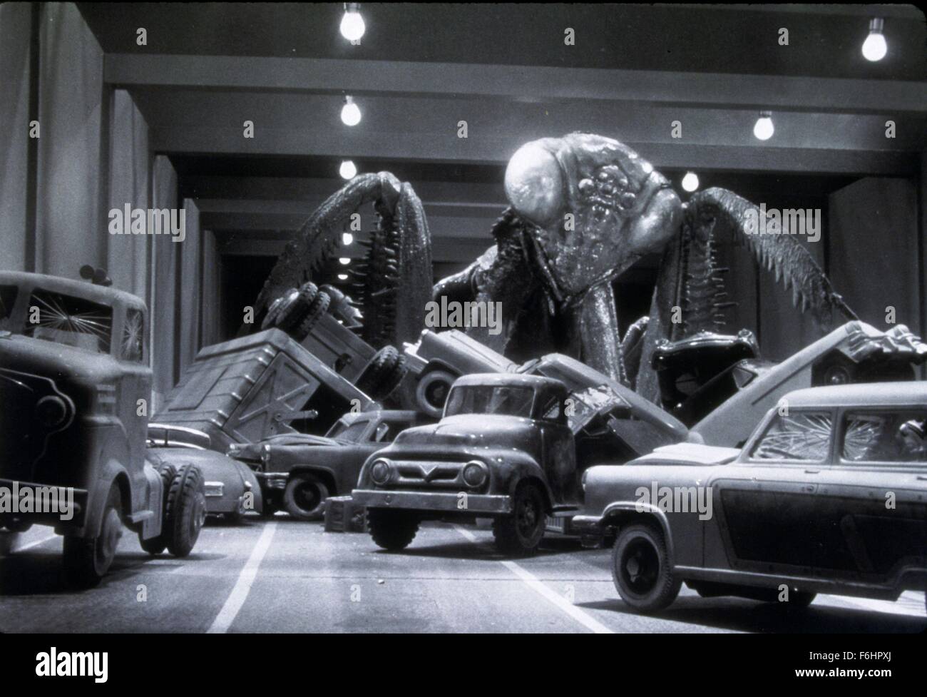 Giant Praying Mantis Movie