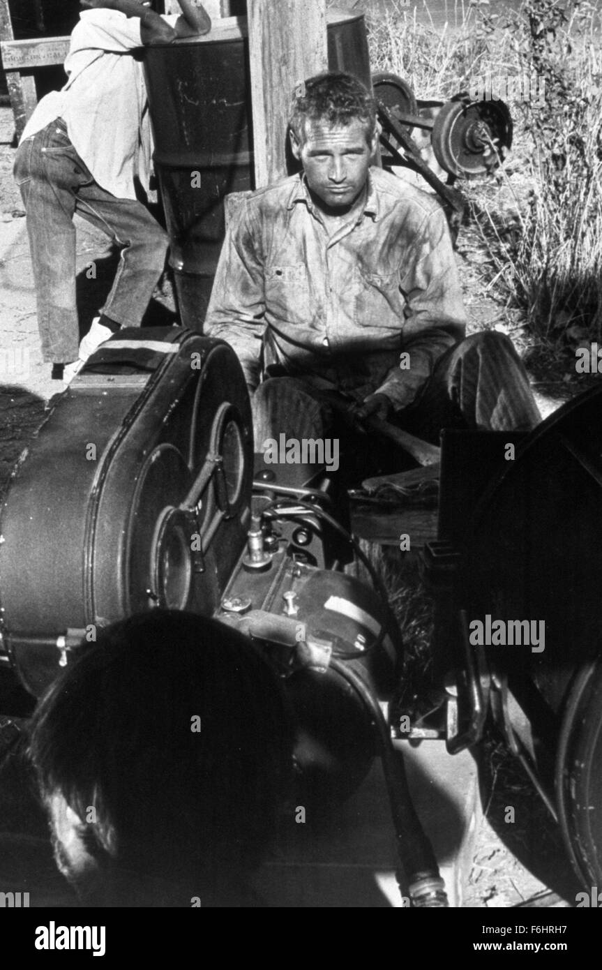 1967, Film Title: COOL HAND LUKE, Director: STUART ROSENBERG, Studio: WB, Pictured: PAUL NEWMAN. (Credit Image: SNAP) Stock Photo