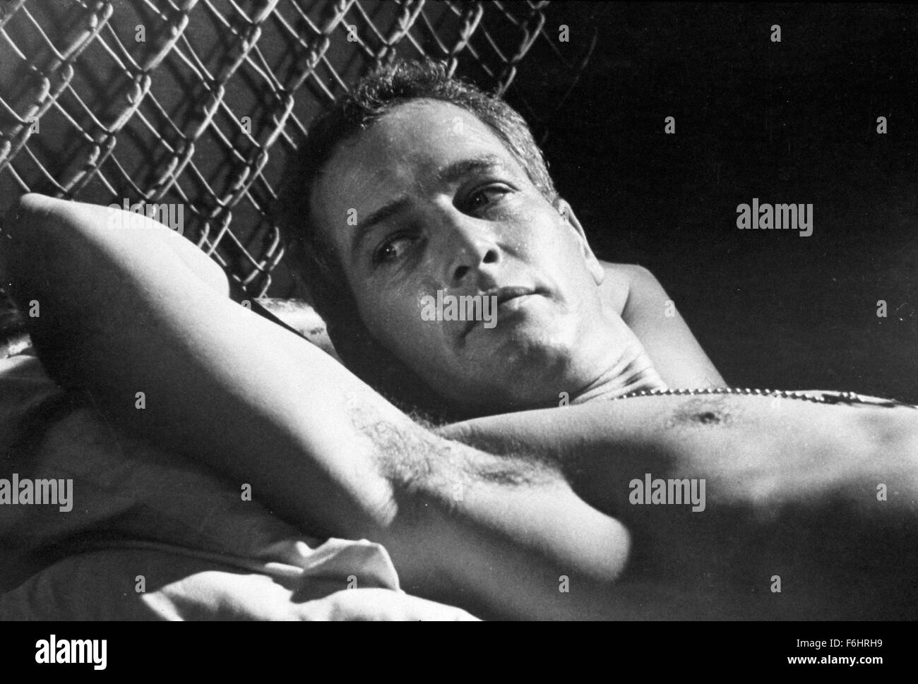 1967, Film Title: COOL HAND LUKE, Director: STUART ROSENBERG, Studio: WB, Pictured: PAUL NEWMAN. (Credit Image: SNAP) Stock Photo