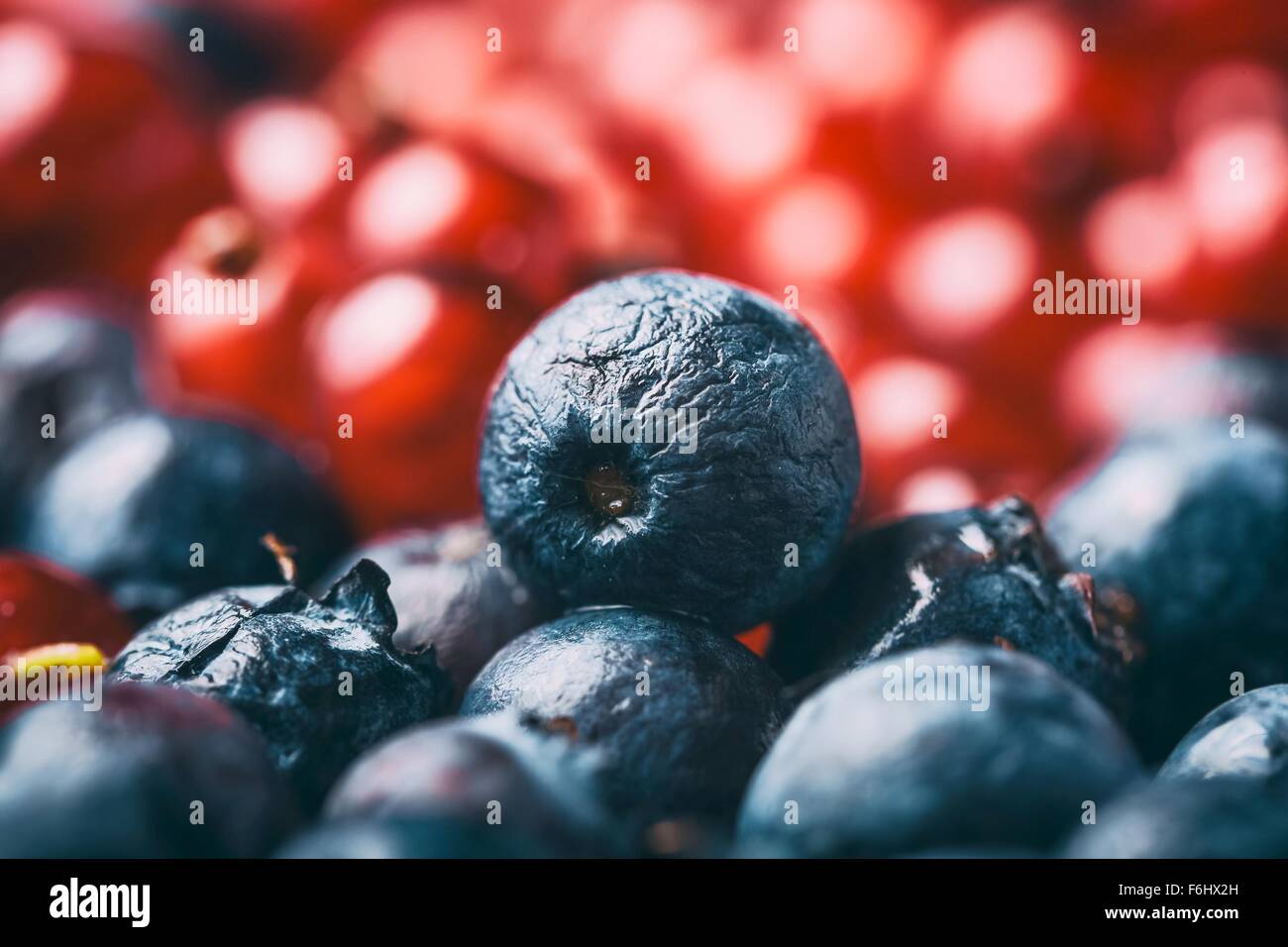Fresh forest fruits Stock Photo - Alamy