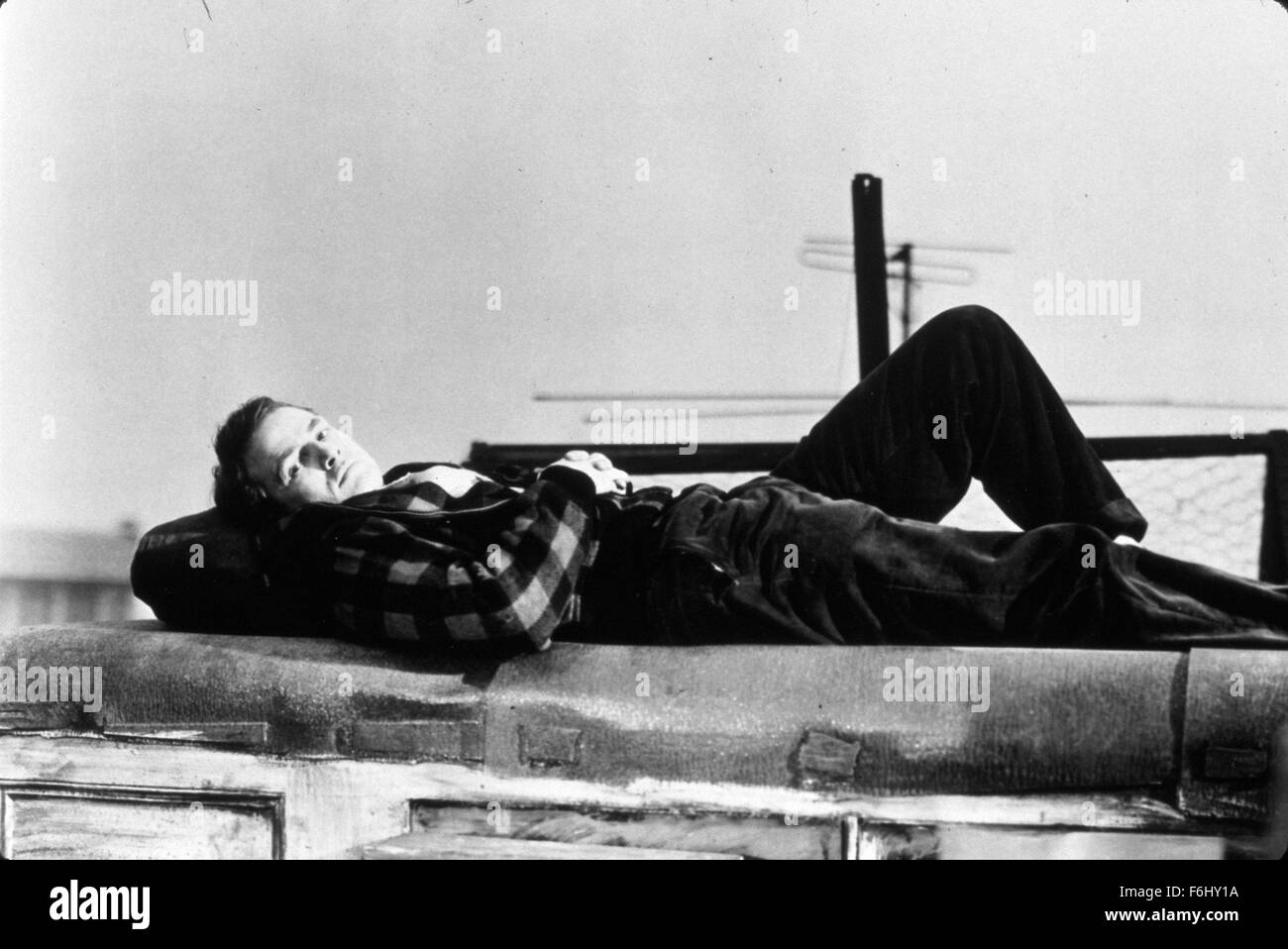 RELEASED: Jun 24, 1954 - Original Film Title: On The Waterfront. PICTURED:  MARLON BRANDO. Stock Photo