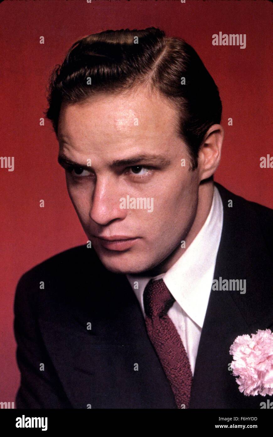 Jul 02, 2004; Hollywood, California, USA; (FILE PHOTO) Legendary actor MARLON BRANDO has died at age 80 of unknown causes in Los Angeles. His long acting career included movies such as 'A Streetcar Named Desire,' 'Apocalypse Now,' the X-rated 'Last Tango in Paris' and his infamous 'The Godfather.' Pictured: 1950, Film Title: MEN, Director: FRED ZINNEMANN, Pictured: MARLON BRANDO. Stock Photo