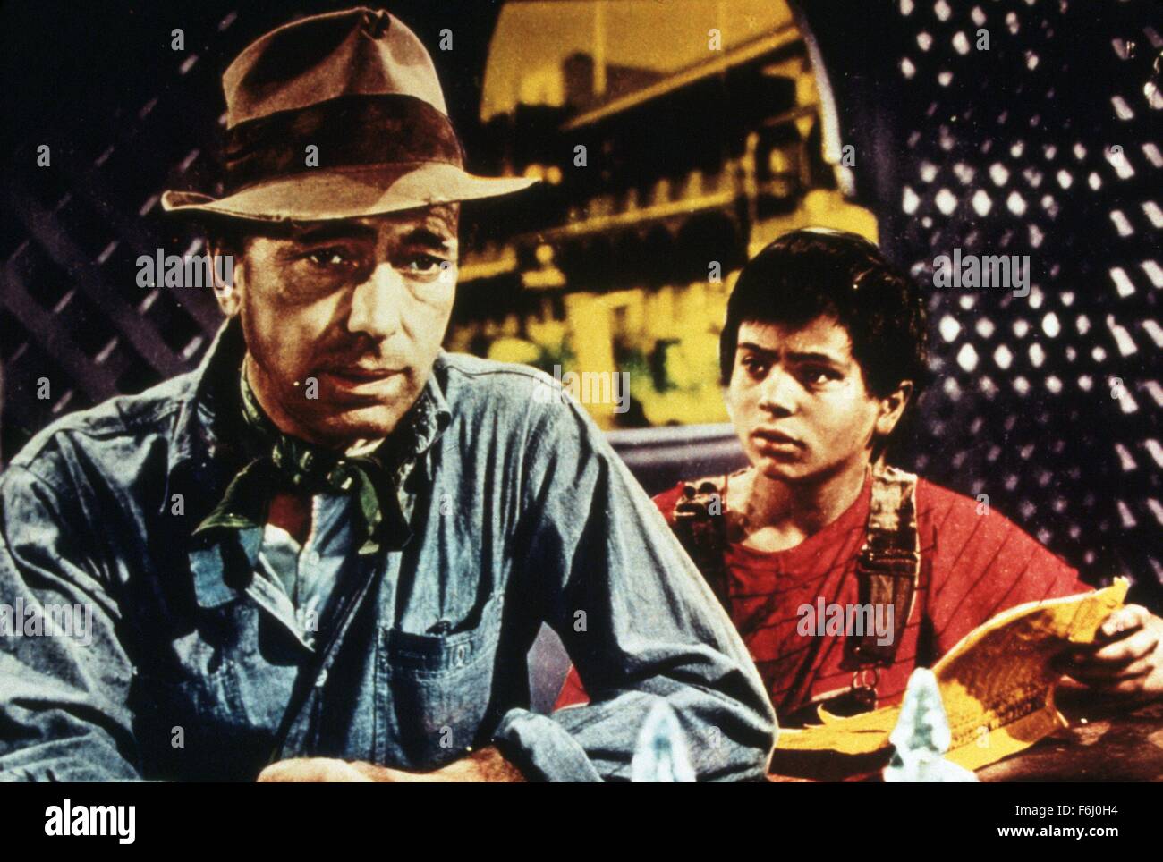 the treasure of the sierra madre film