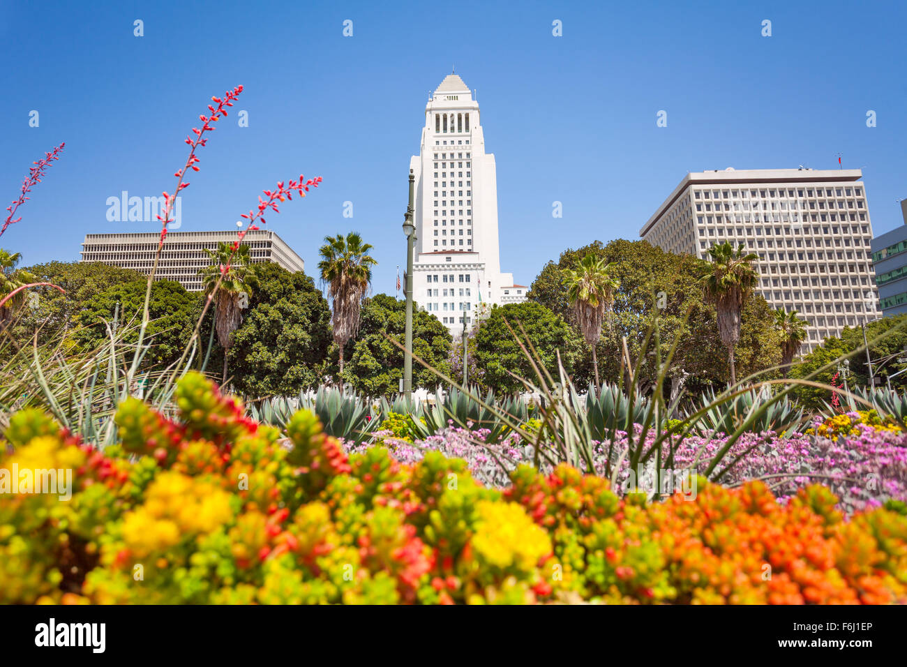 Town hall view with flowers in LA downtown, USA Stock Photo Alamy