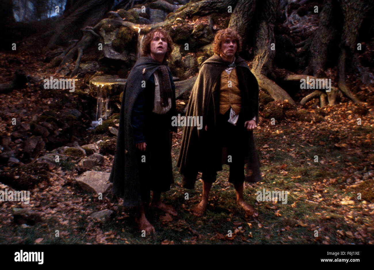 Billy BOYD main image 0